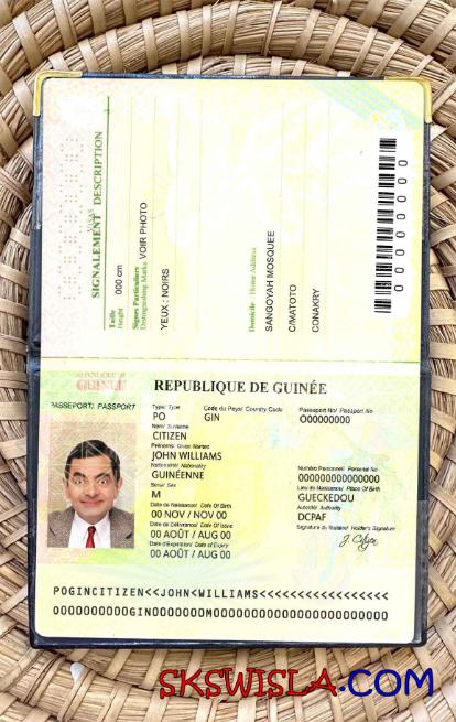 Gwinea zdjęcie do paszportu pliki PSD, skan i fotografowany obraz